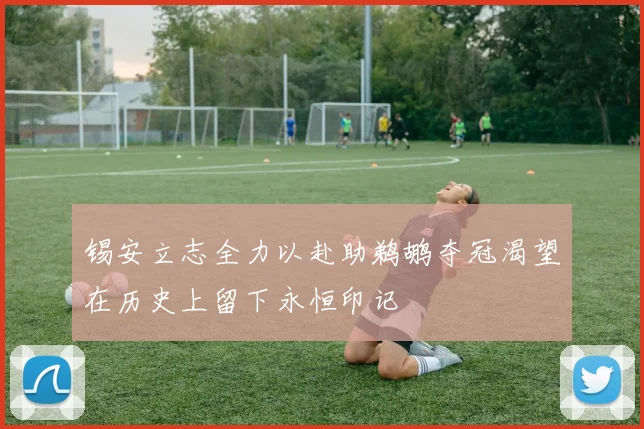 锡安立志全力以赴助鹈鹕夺冠渴望在历史上留下永恒印记