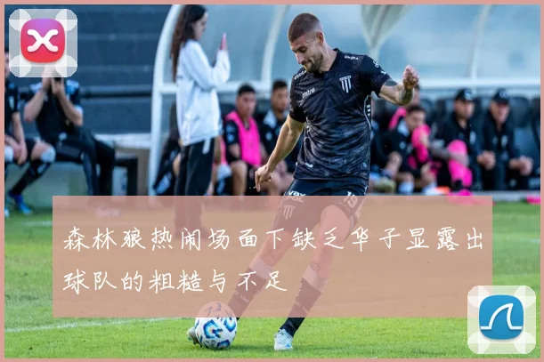 森林狼热闹场面下缺乏华子显露出球队的粗糙与不足