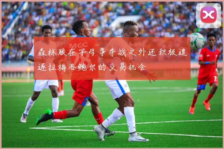 森林狼在字母争夺战之外还积极追逐拉梅洛鲍尔的交易机会